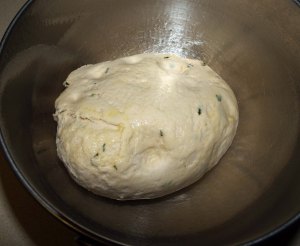 dough before rising