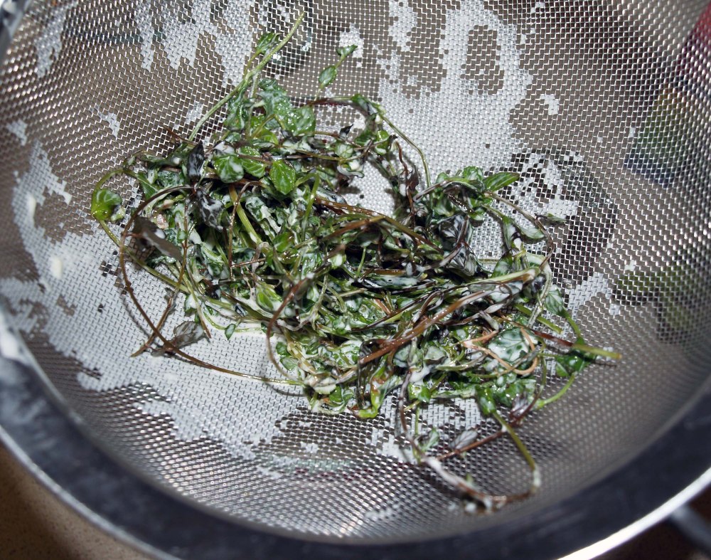 mint strained out of cream