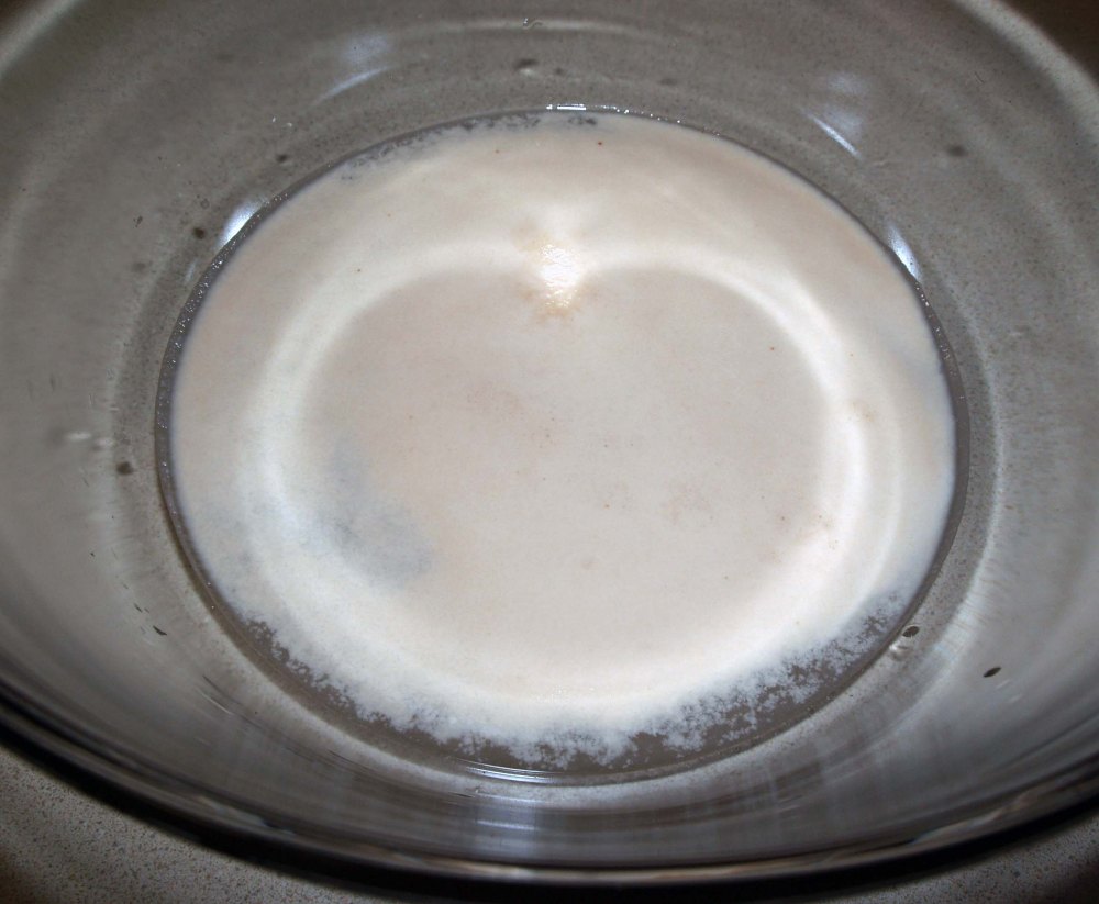 yeast and water mixture