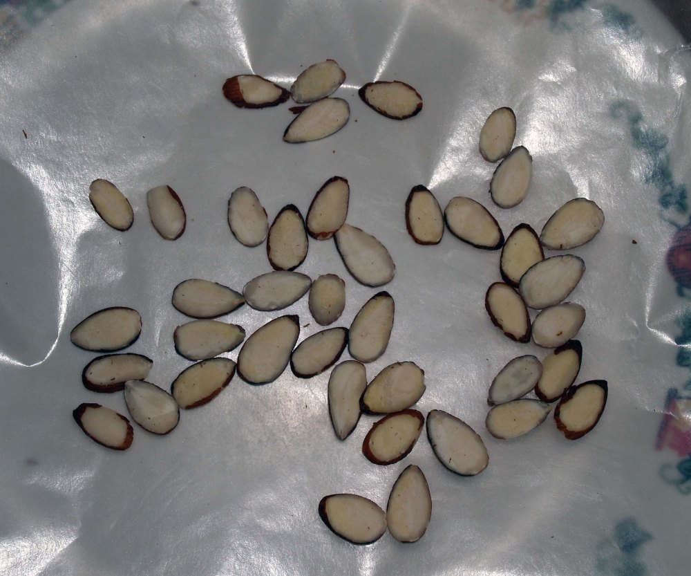 almond slices for decorated fingernails