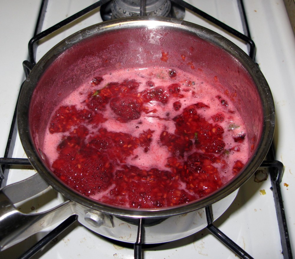 Boiling Mint Raspberry Sauce