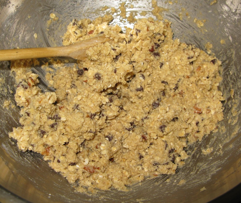 Turtle Oatmeal Cookie Dough with Mix Ins