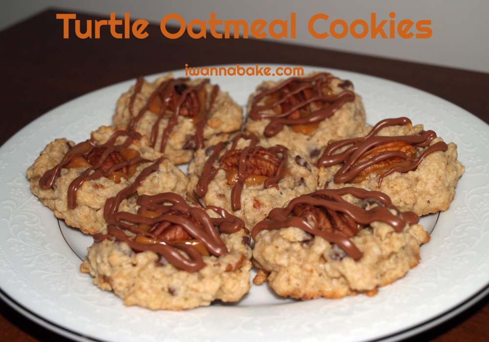 Turtle Oatmeal Cookies