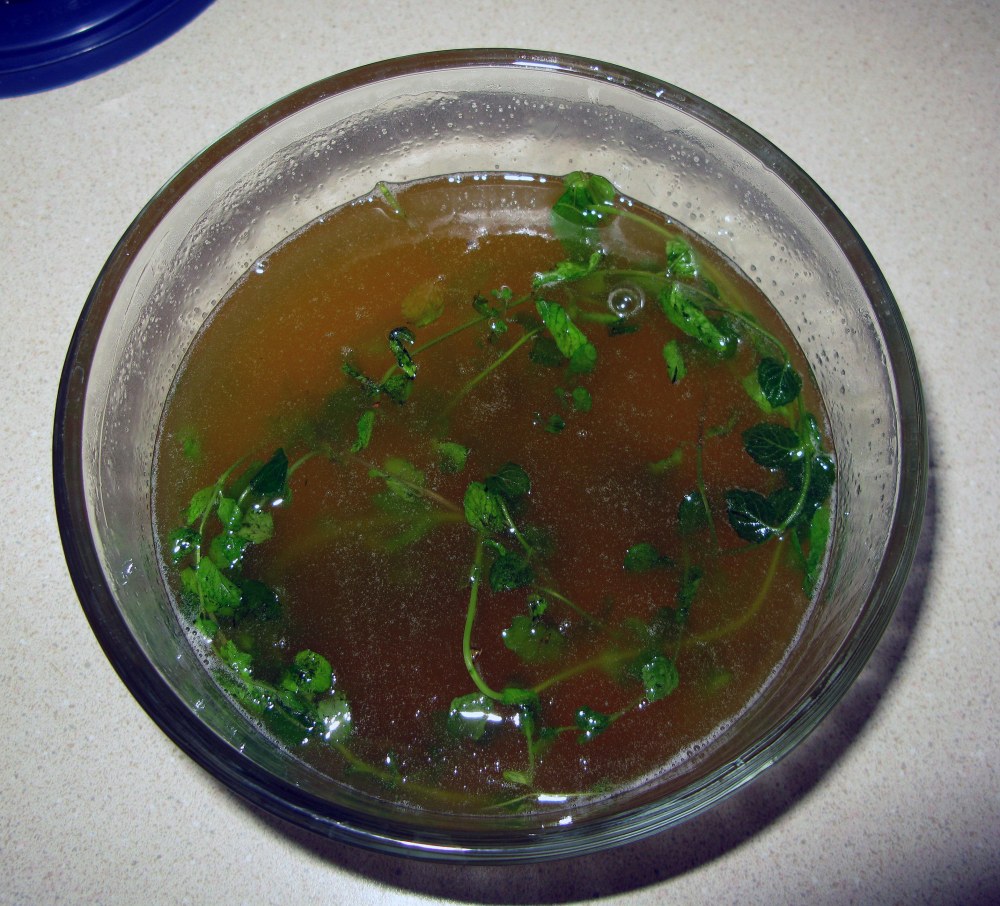 Infusing Mint Syrup