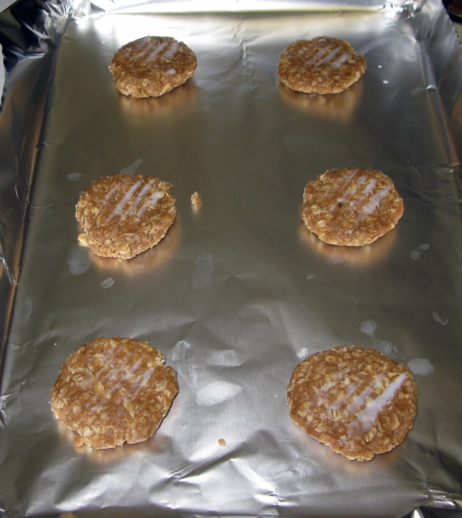 Iced Oatmeal Cookie Discs