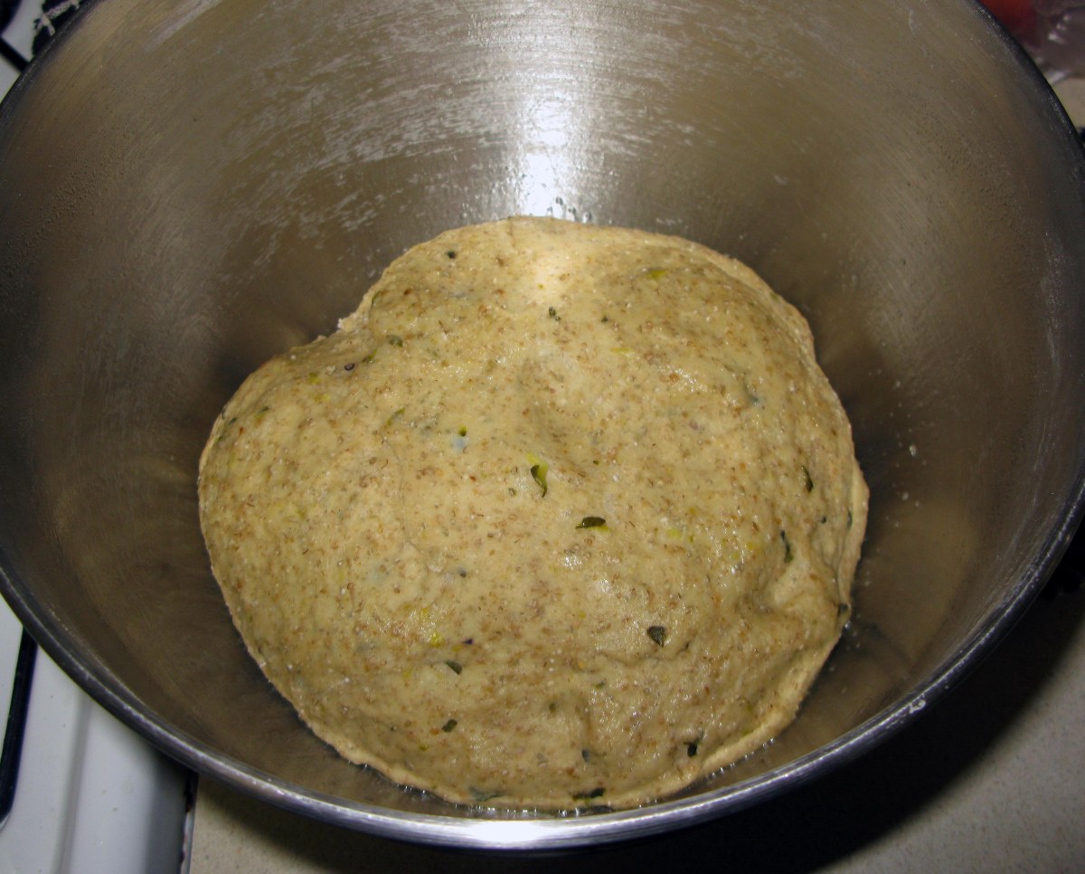 Risen Pickle Bagel Dough