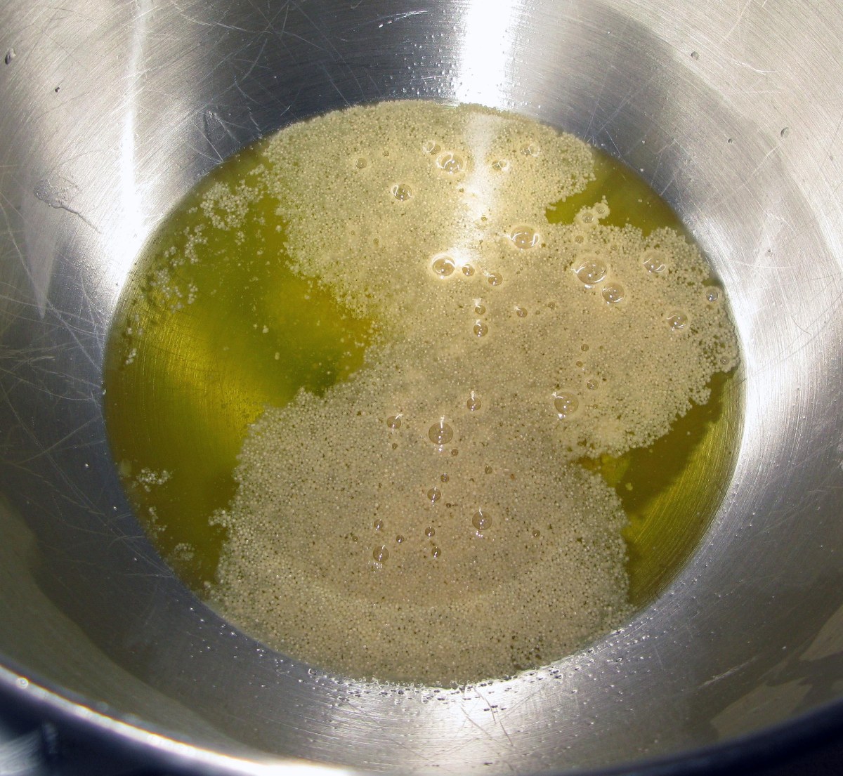 Yeast Before Activation