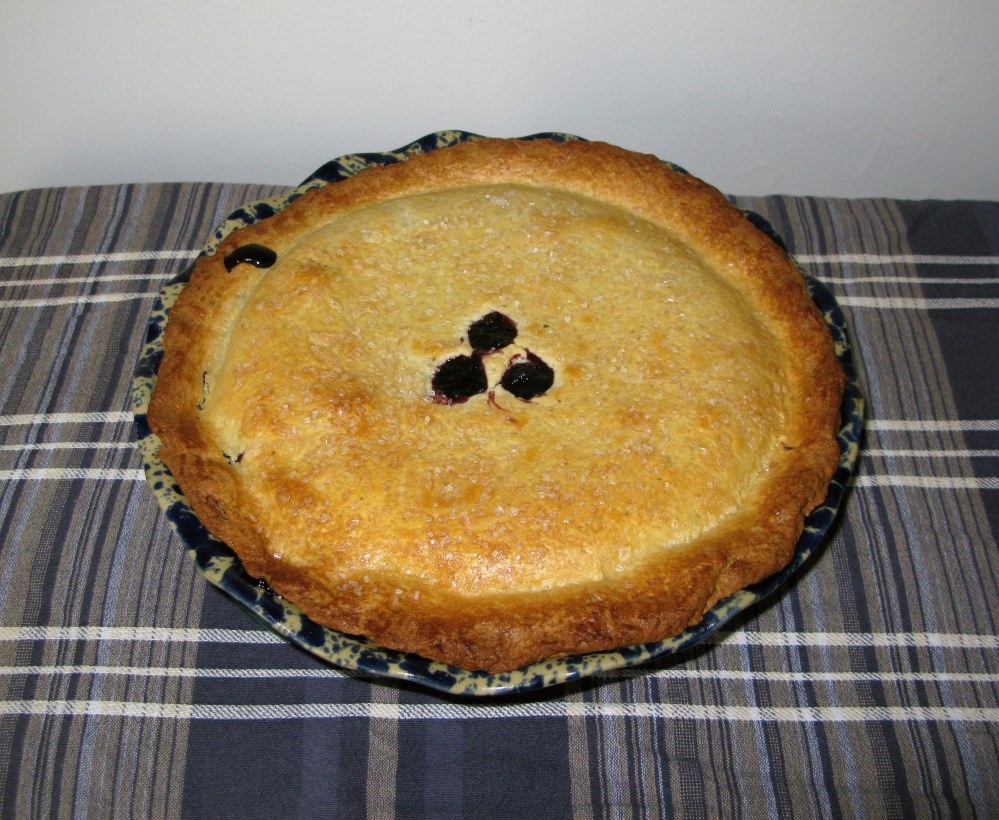 Baked Blueberry Lime Pie