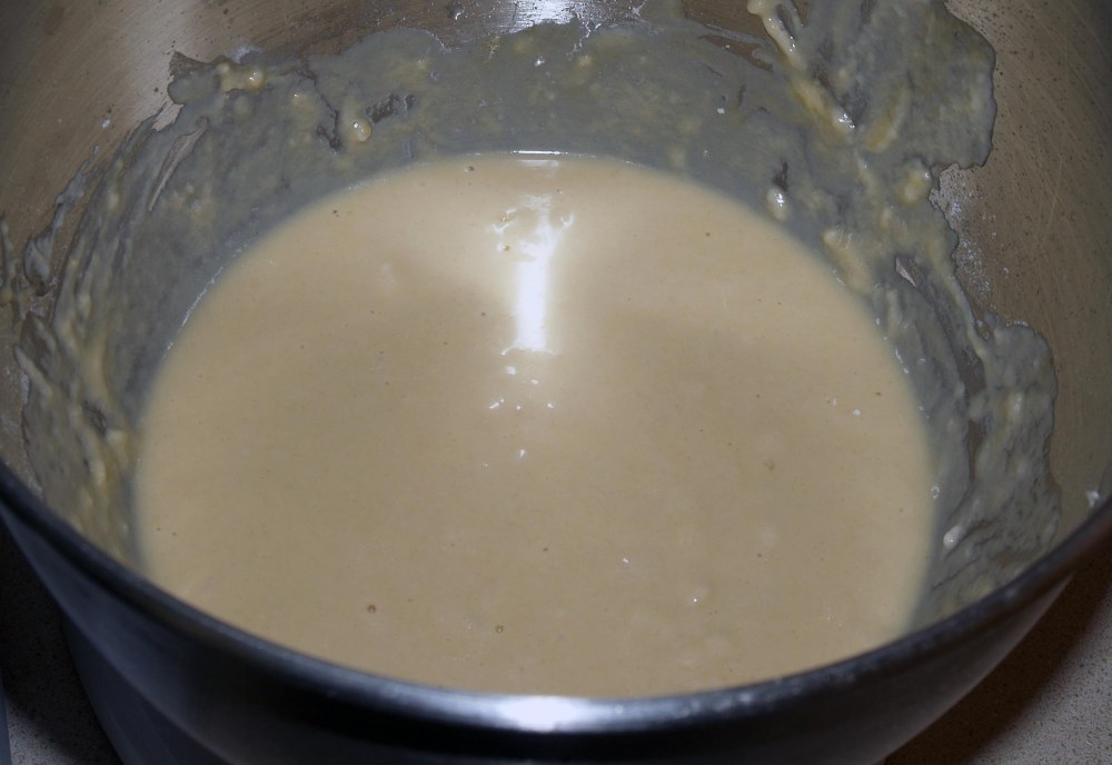 Bagel Dough Slurry
