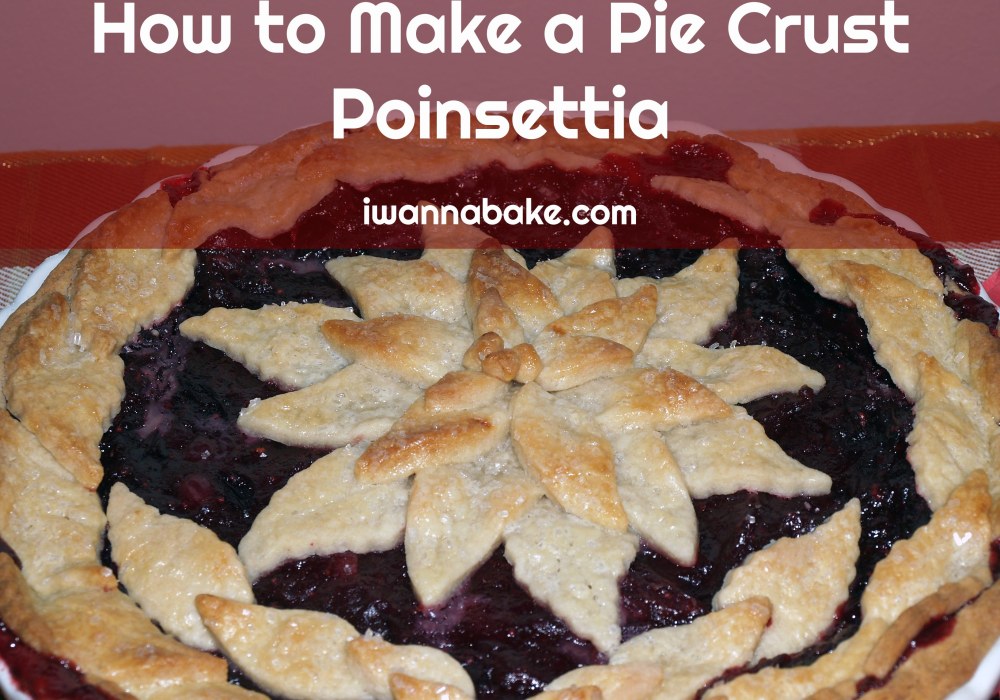How to Make a Pie Crust Poinsettia