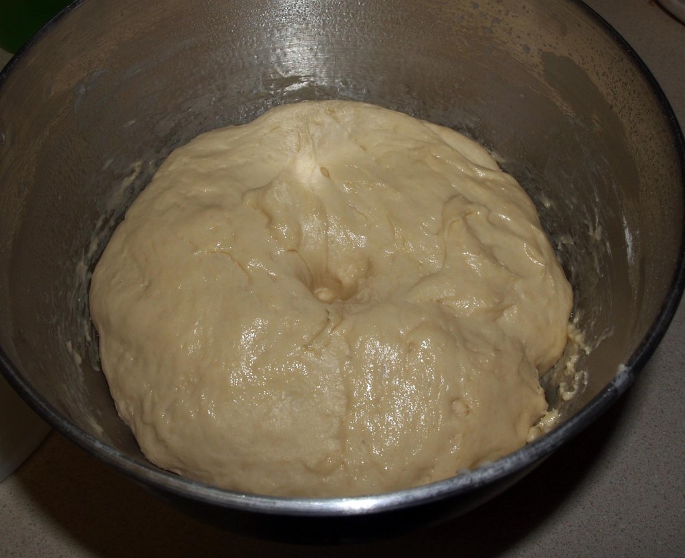 Risen Bagel Dough