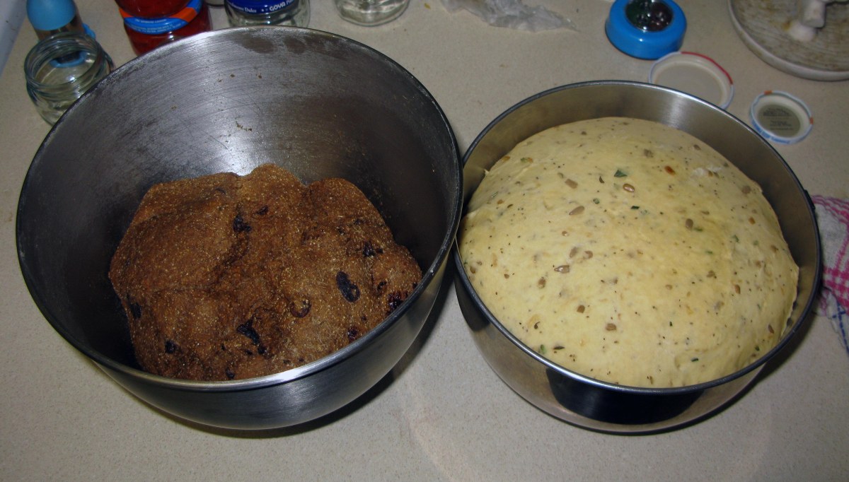 Herb and Molasses Bread Doughs After Rising